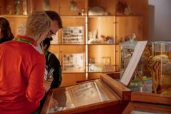 250928_101952_UrbanWalkRotterdam_HR_MNO-Photo