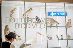 250928_102123_UrbanWalkRotterdam_HR_MNO-Photo